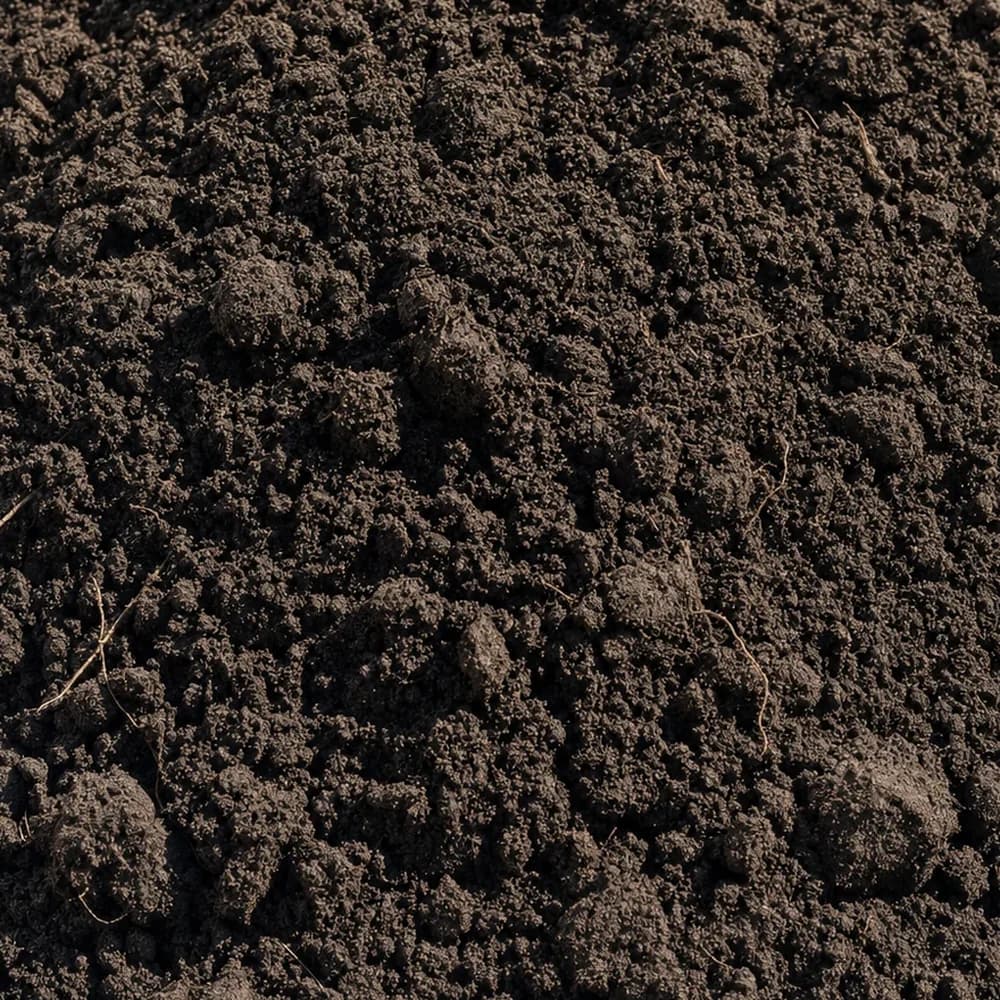Top Soil